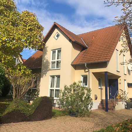 Ferienwohnung Suedpfalz Mit Fernblick Bochingen 外观 照片