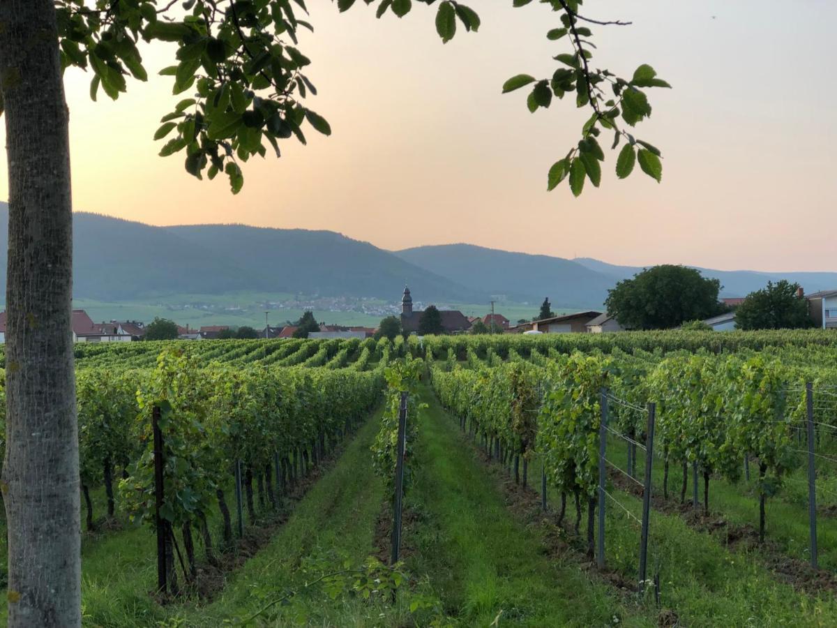 Ferienwohnung Suedpfalz Mit Fernblick Bochingen 外观 照片
