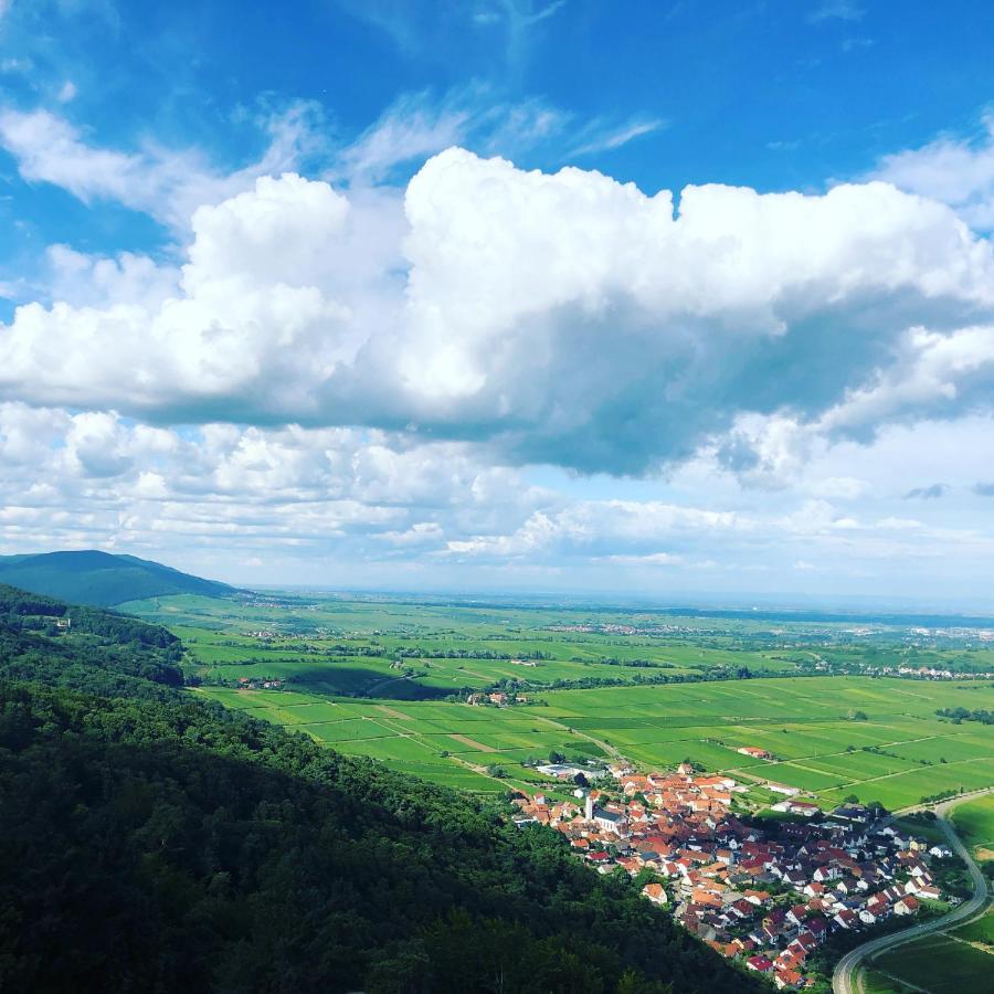 Ferienwohnung Suedpfalz Mit Fernblick Bochingen 外观 照片